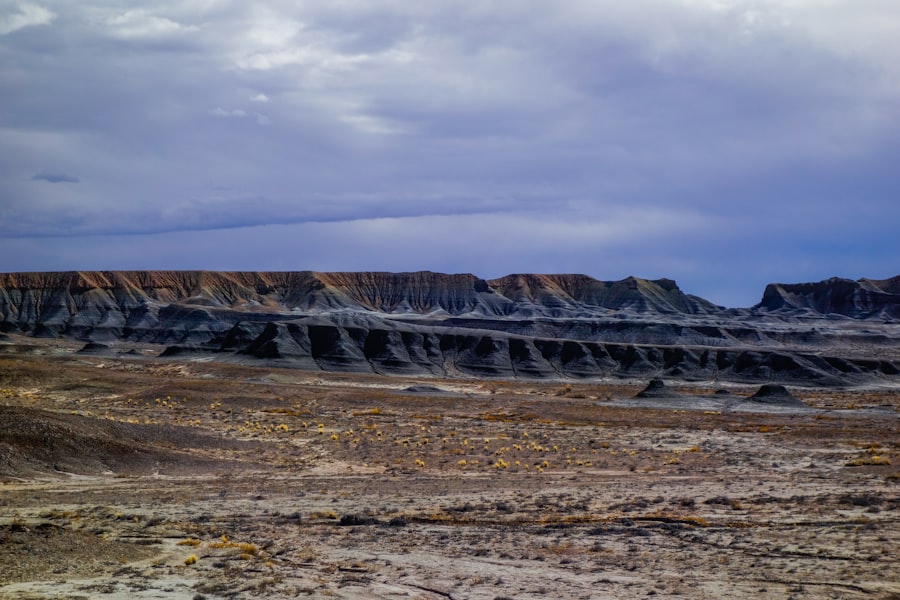 rare earth mining