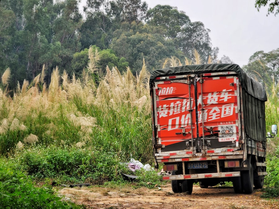 China grain to green program failure
