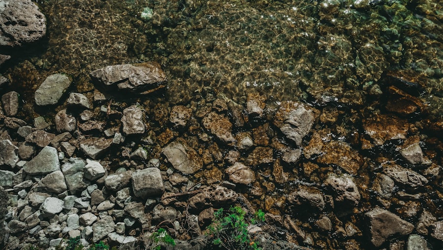soil salinity
