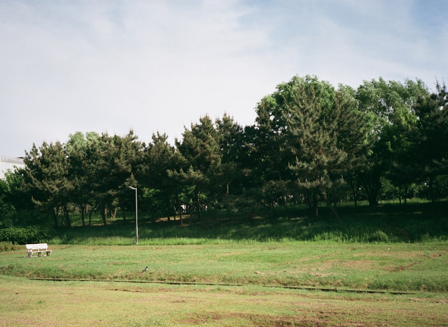 rotational grazing