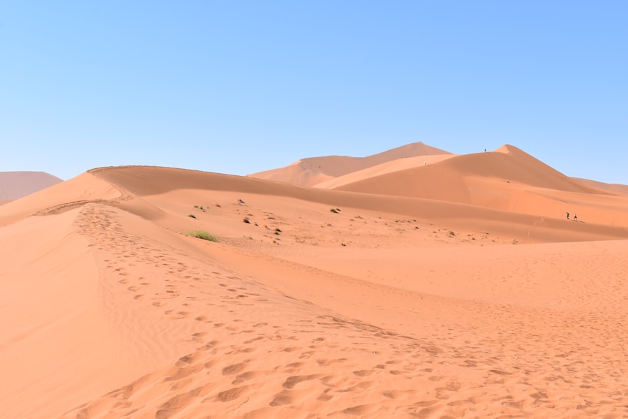 Kubuqi Desert model scalability issues