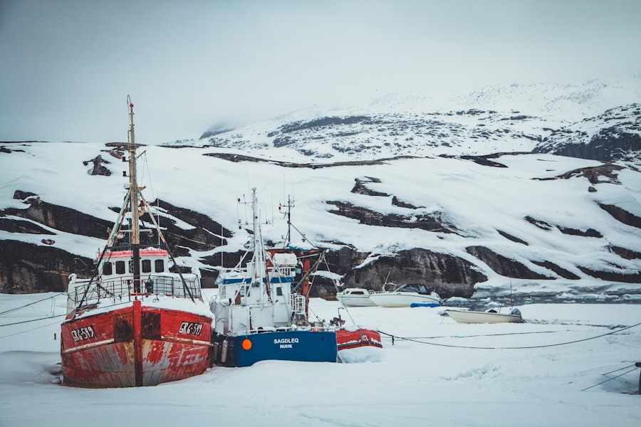 Arctic investment