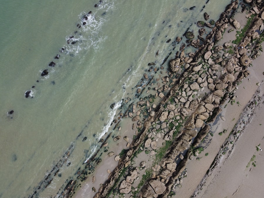 drone shoreline erosion surveys