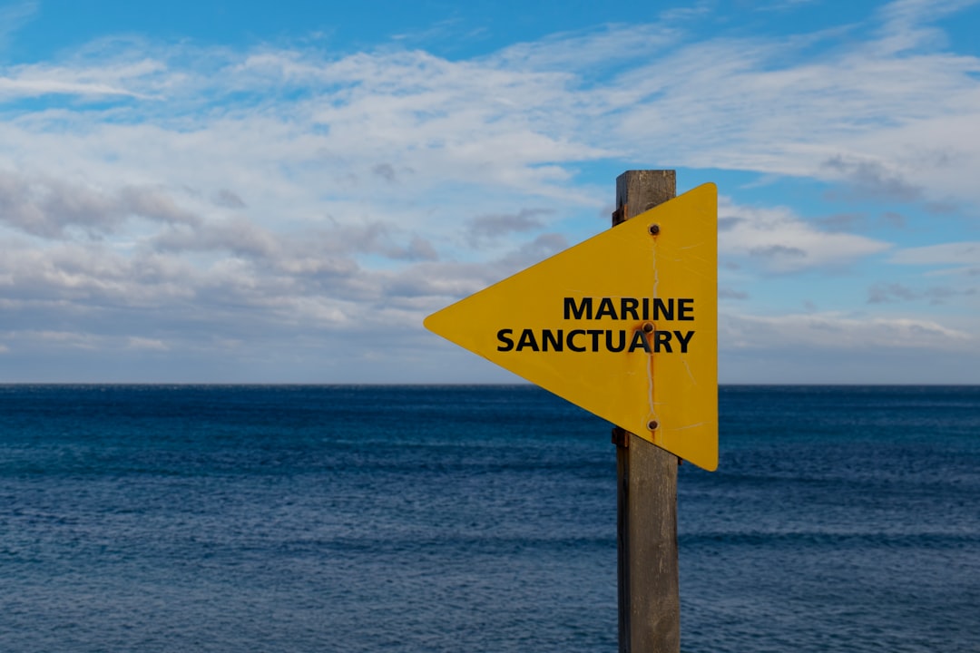Photo salinity drift