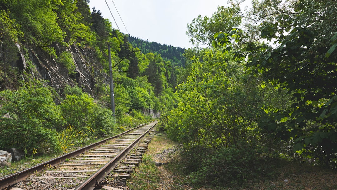 Photo georgia mountain rail choke points