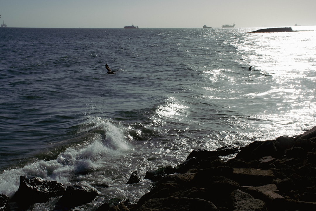 Photo Caspian Sea special status