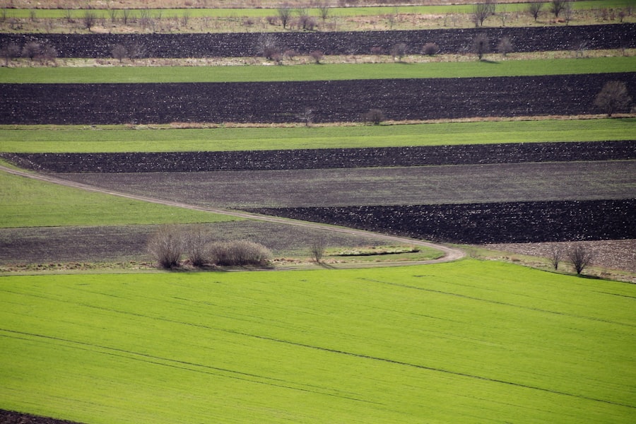 Photo coal decline