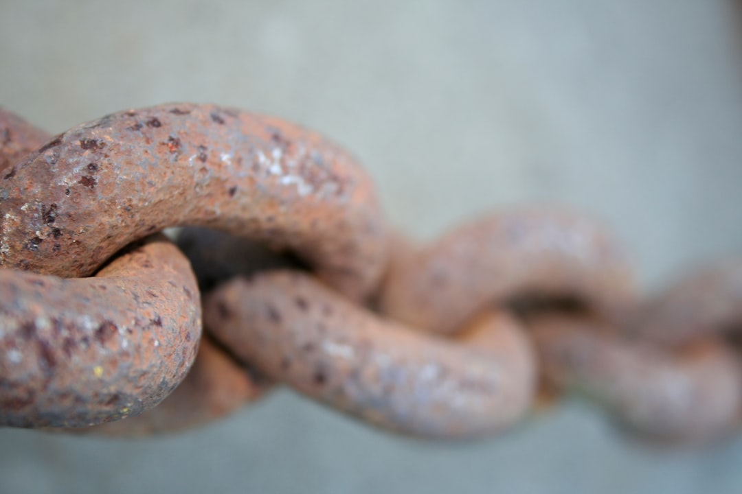 Photo supply chain vulnerabilities
