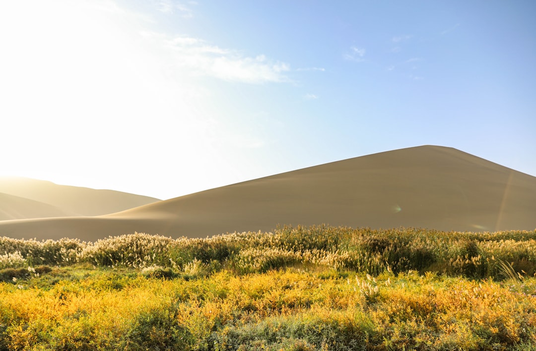 Photo Gobi Desert expansion economic impact China