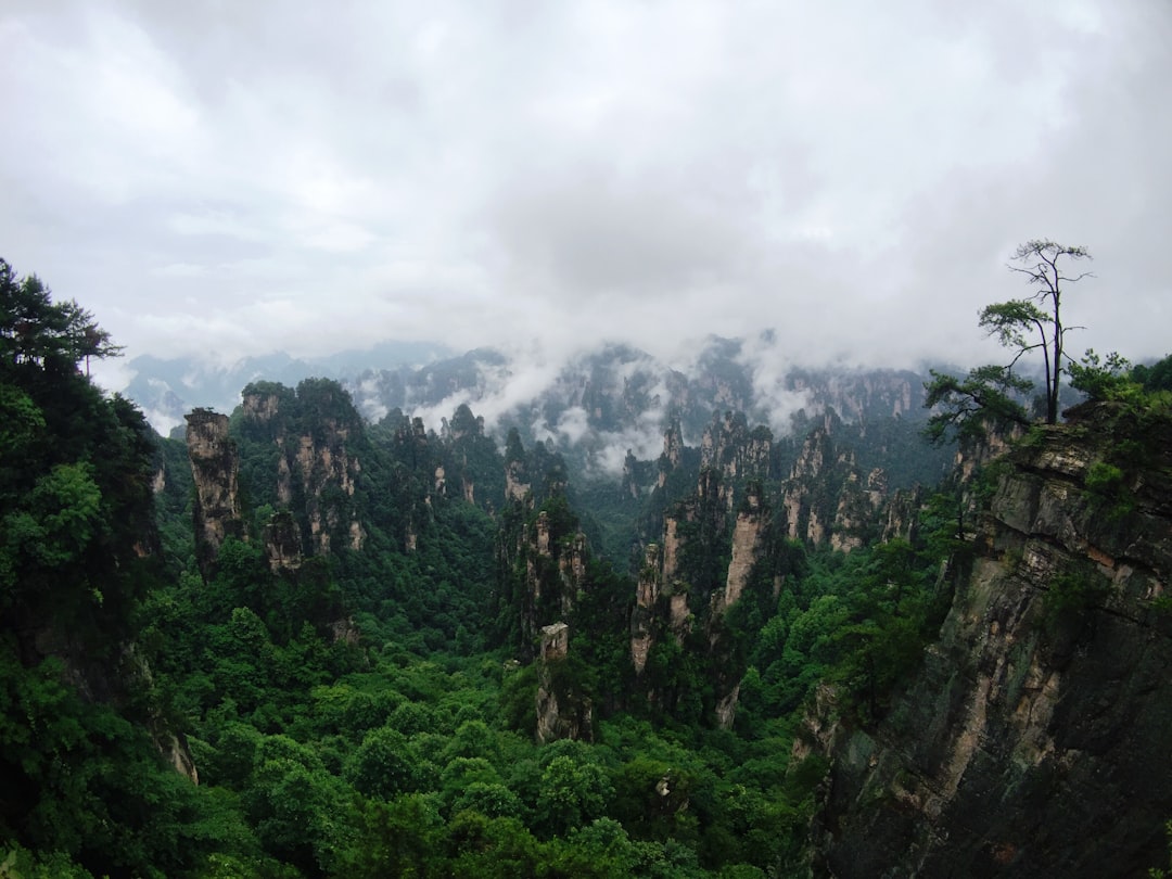 Photo China ghost forests environmental impact
