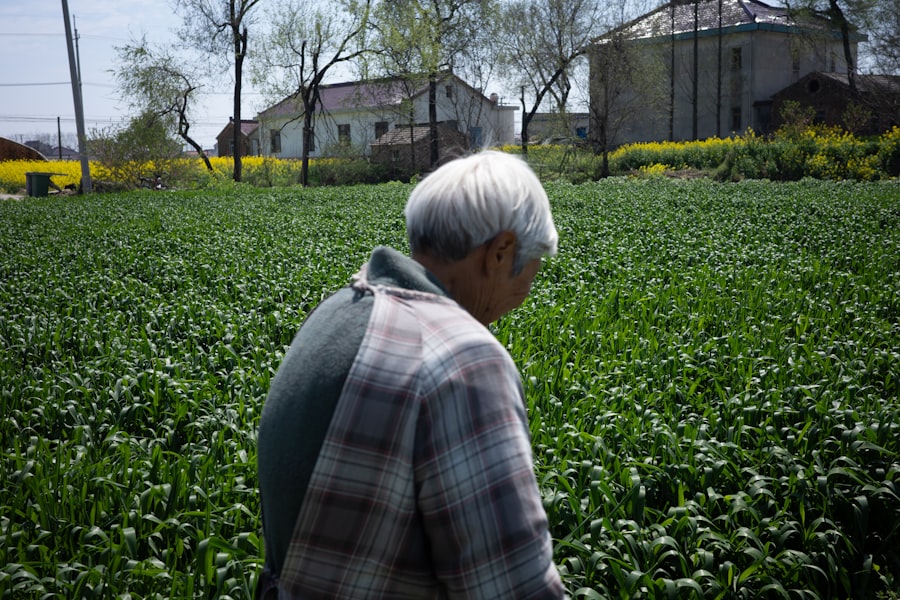 Photo China grain to green program failure