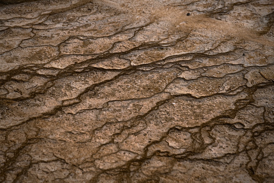 Photo soil salinity