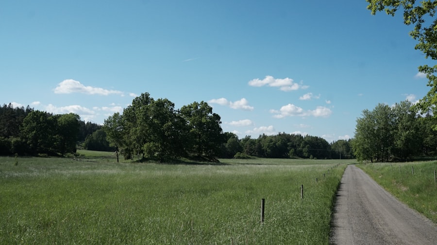 Photo rotational grazing