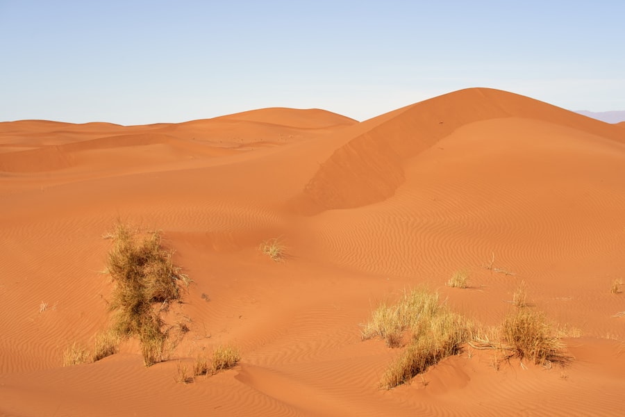 Photo Kubuqi Desert model scalability issues