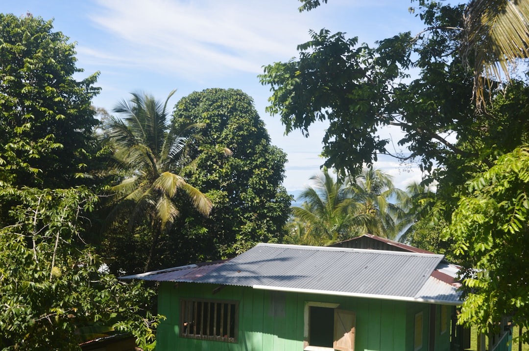 Photo solar panel washing cost