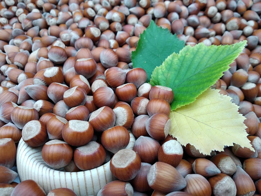 hazelnut industry