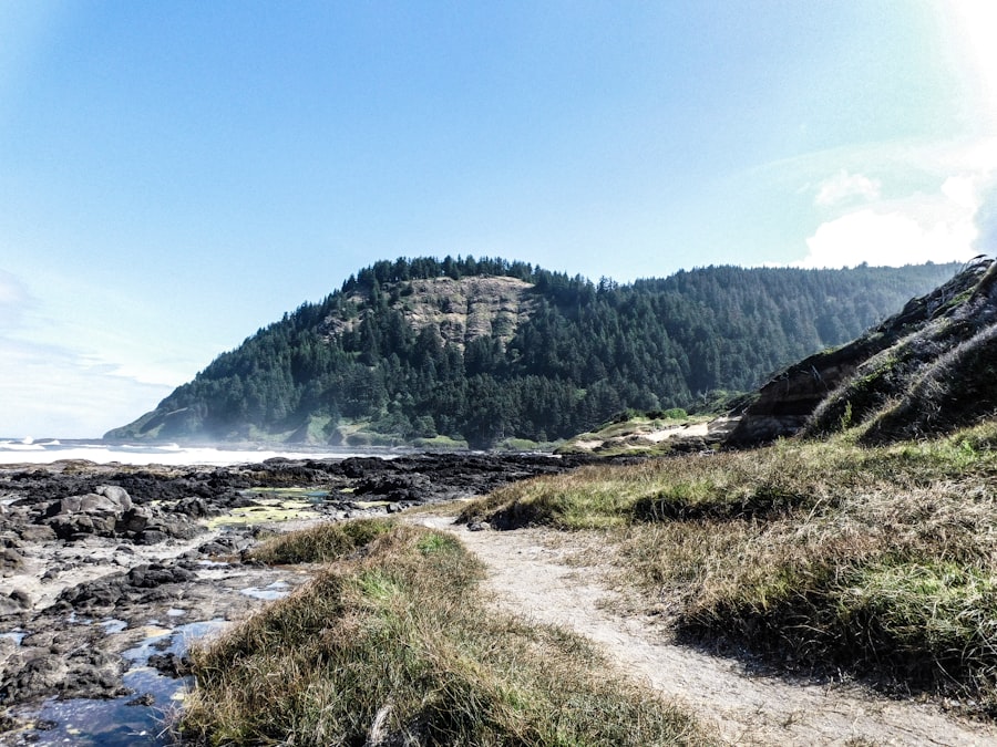 Oregon settlement routes