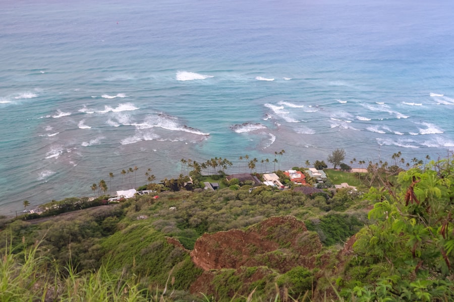 paradise honolulu vacant homes