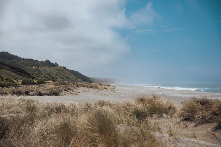 oregon coast desert
