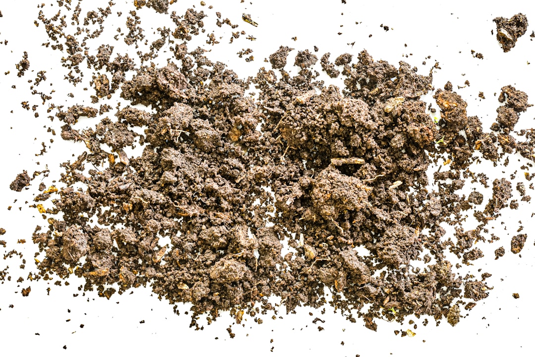 Photo soil heist