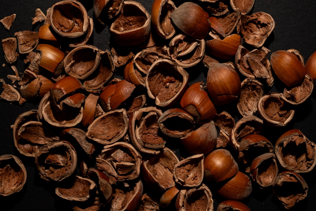 Photo hazelnut industry