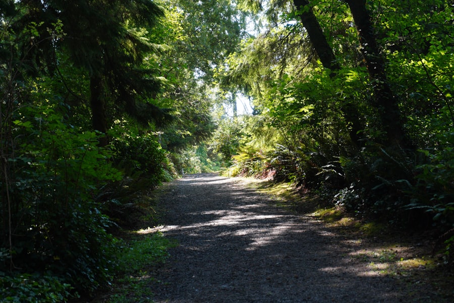 Photo Oregon settlement routes