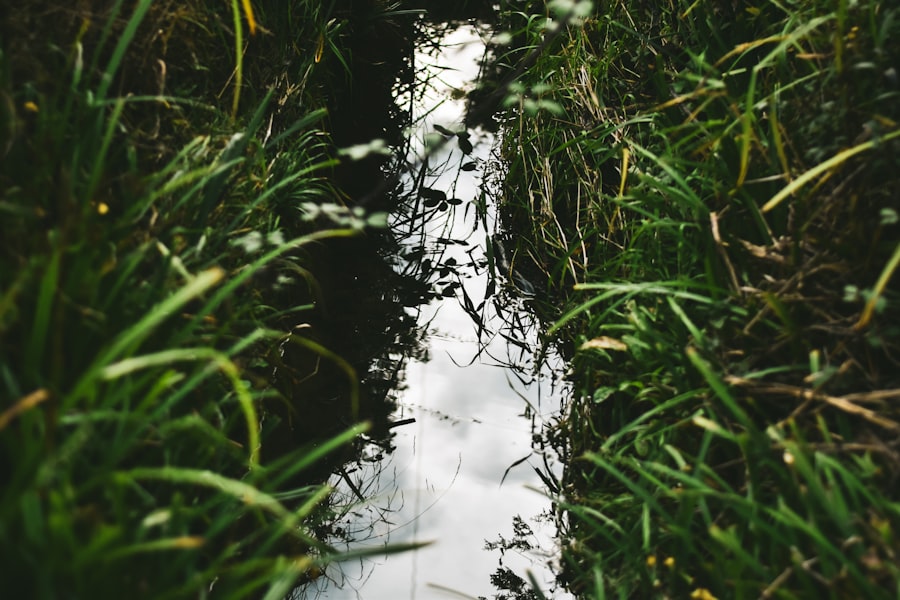 Great Lakes: Nutrient Runoff and Agricultural Impact