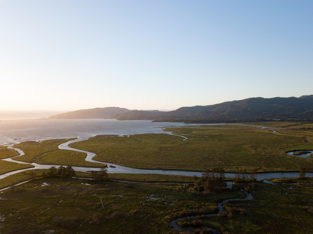 Photo tidal rivers