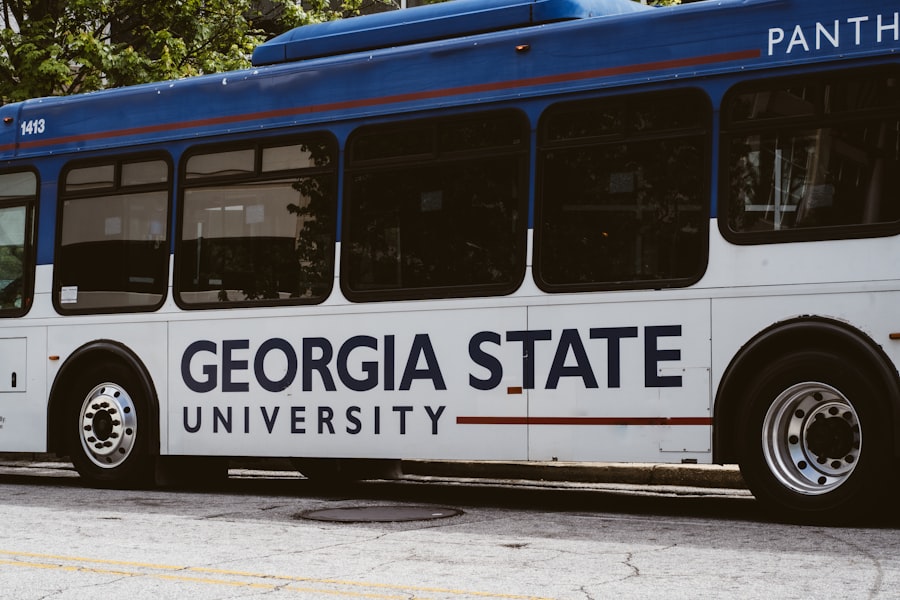 Photo georgia population split