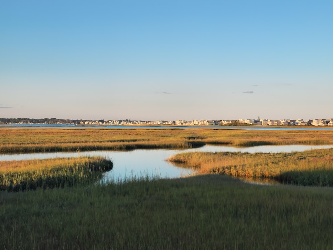 Photo coastal marshland expansion