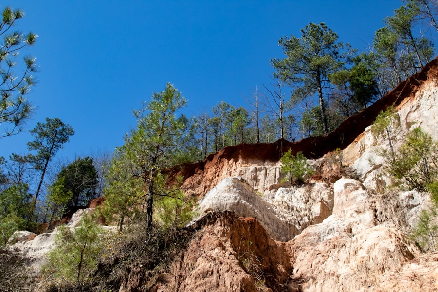 Photo georgia fall line geography