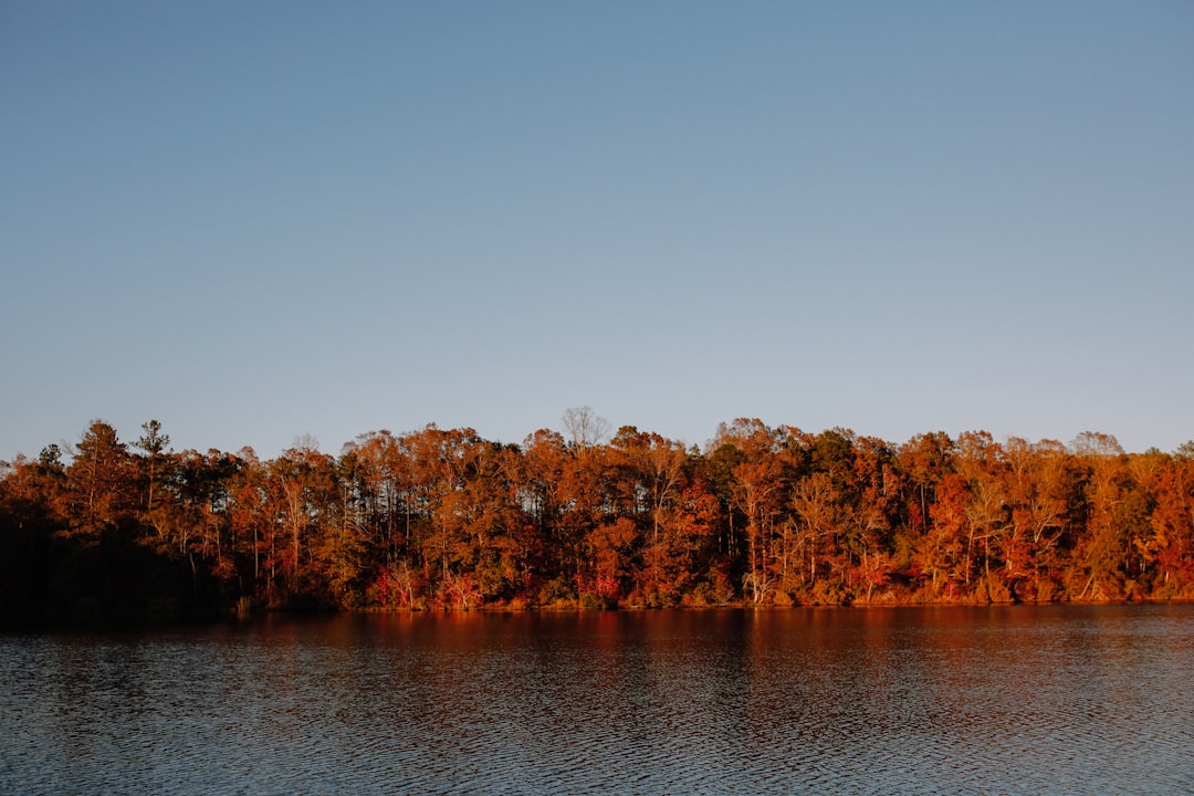 Photo georgia inland growth