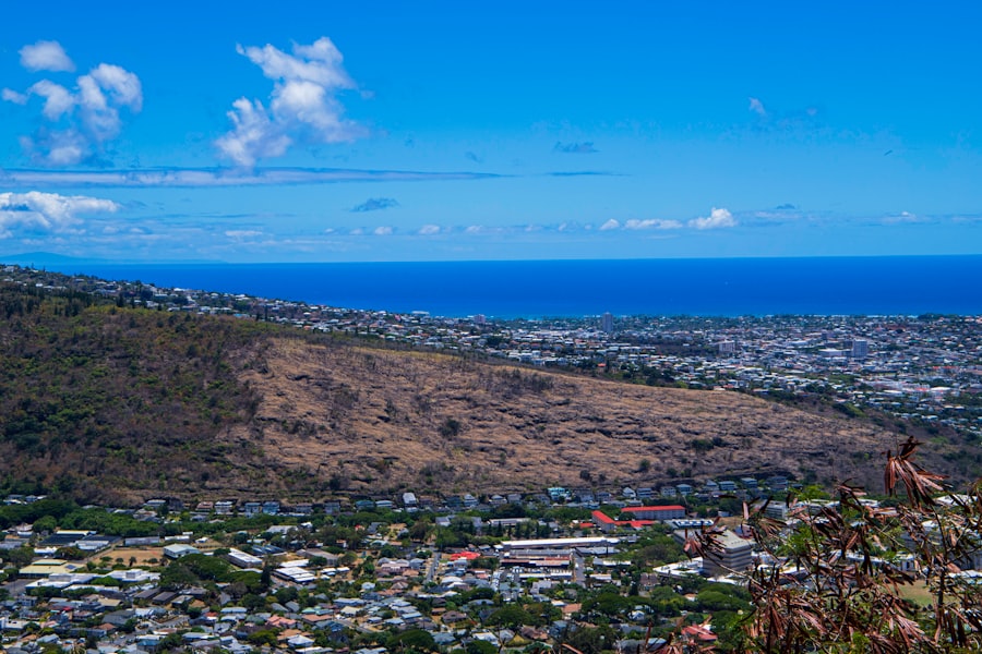 Photo paradise honolulu vacant homes