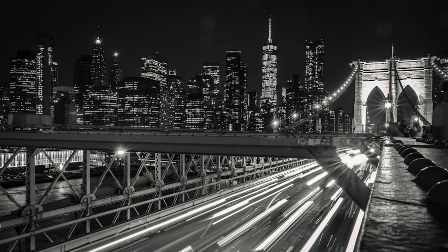 Photo manhattan lite traps