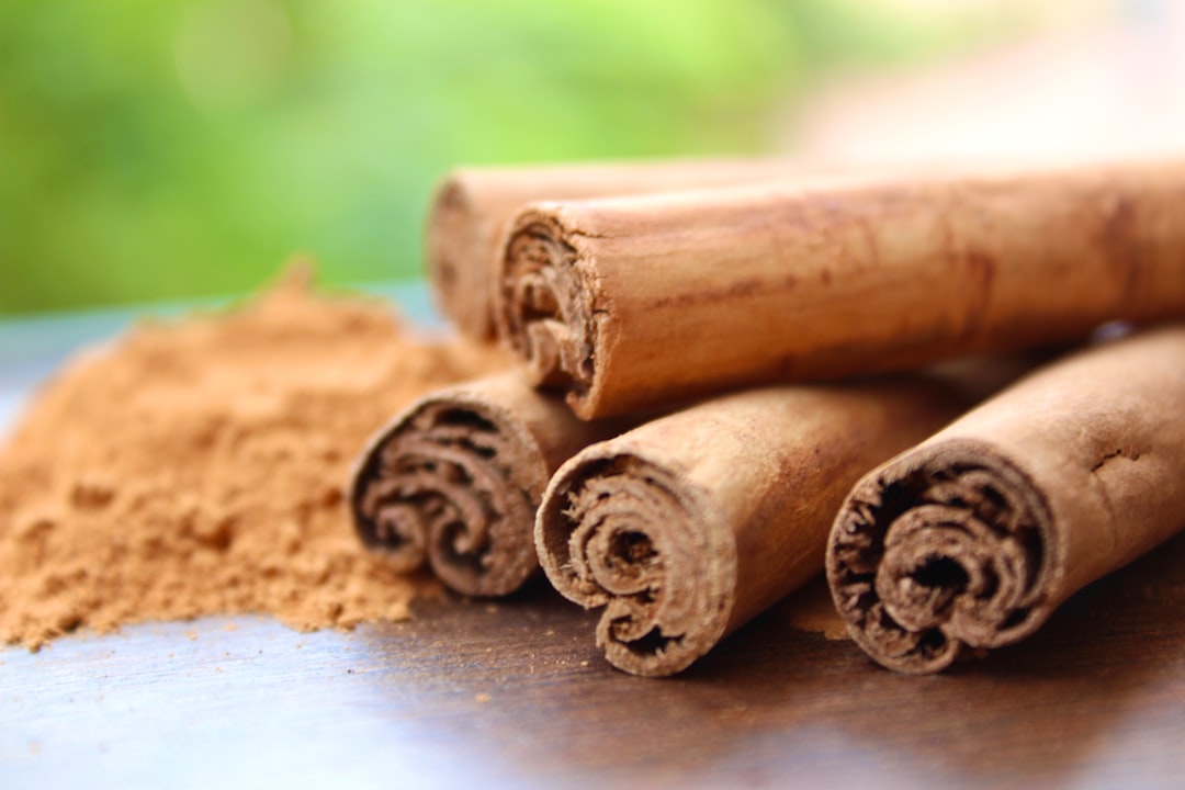 Photo cinnamomum verum