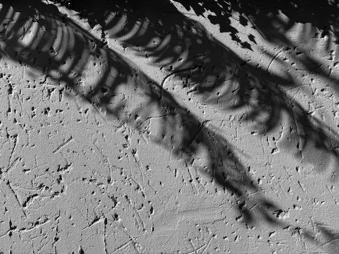 Photo rain shadow effect