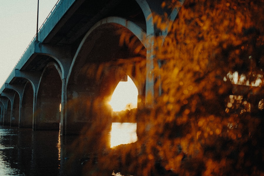 Photo bridge nature documentary