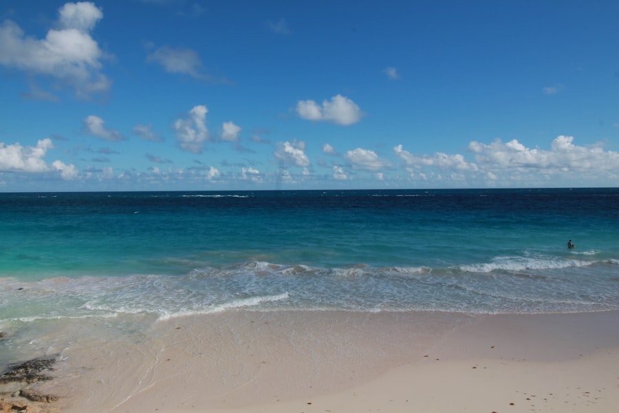 bermuda history
