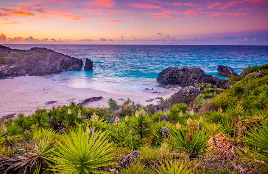 bermuda corporate tax laws