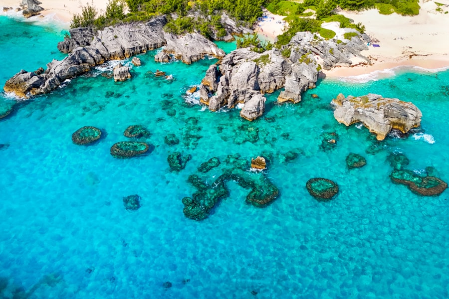 Photo international business sector Bermuda