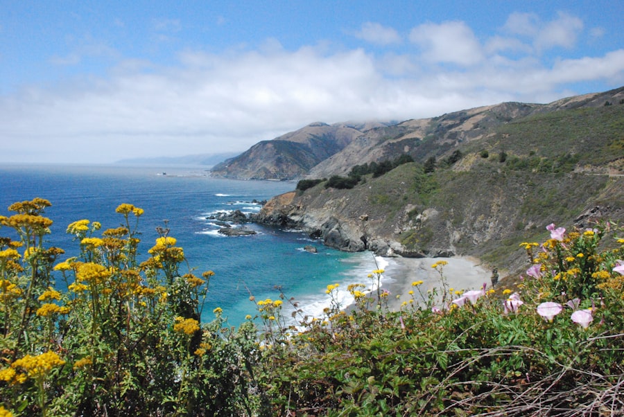 California water