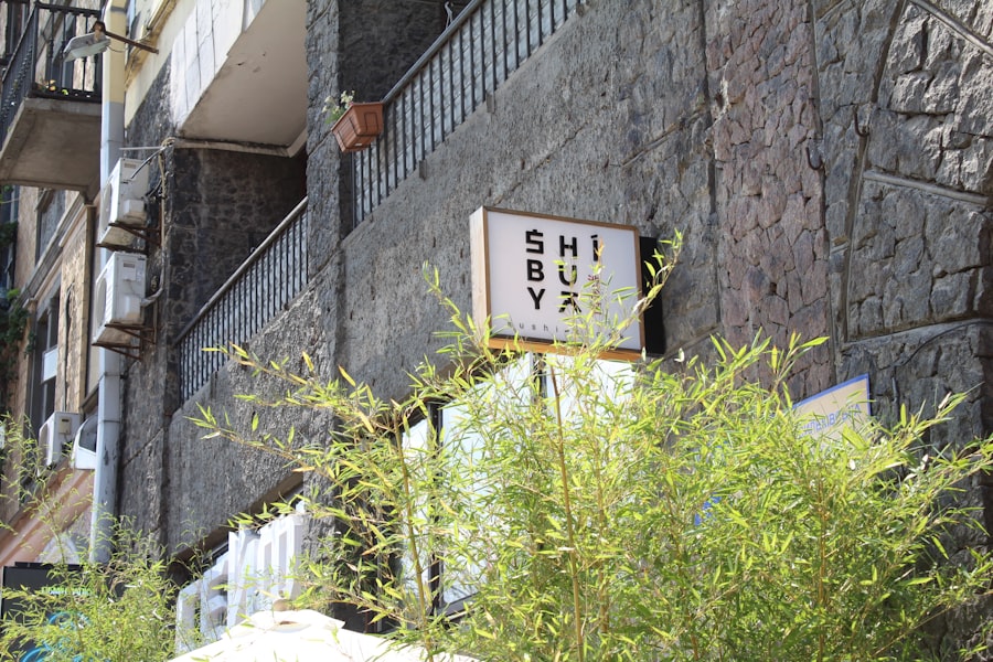 akiya
