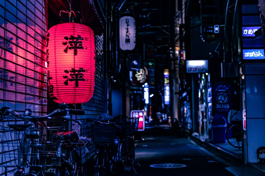 hidden systems of Japan