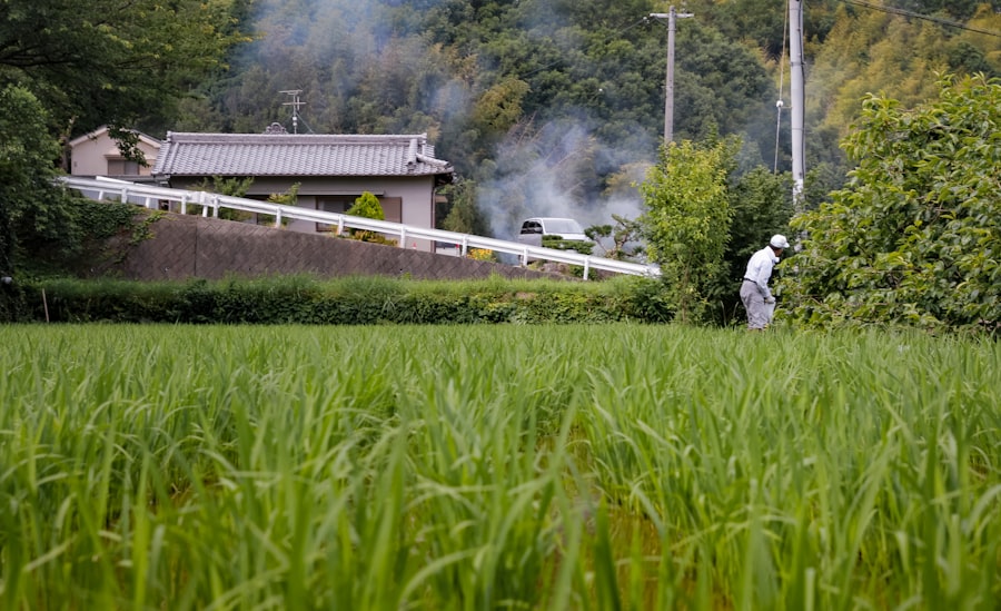 Japan natural disasters