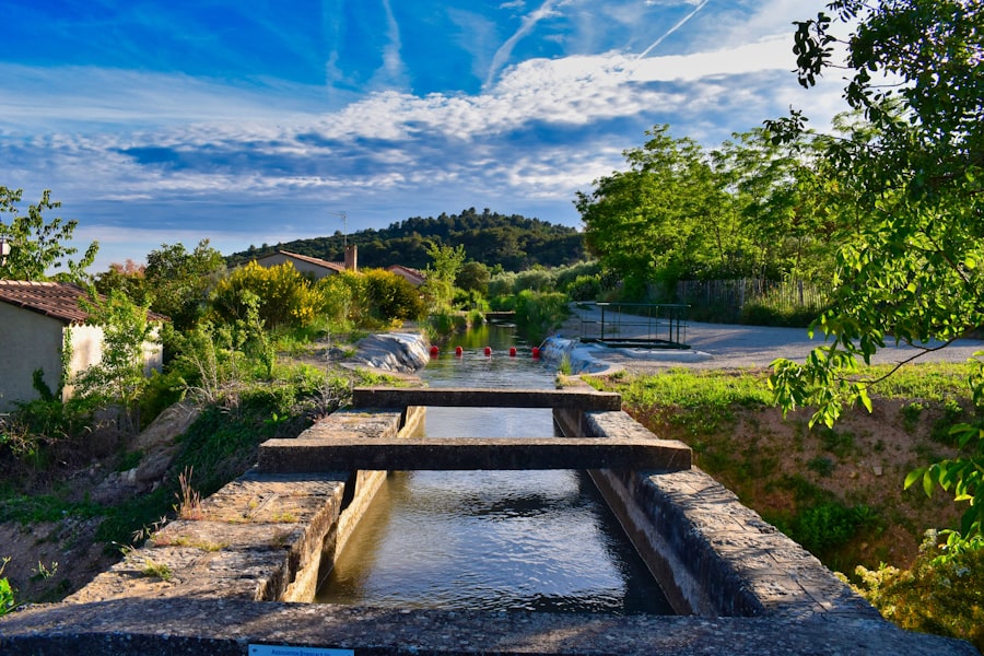 irrigation