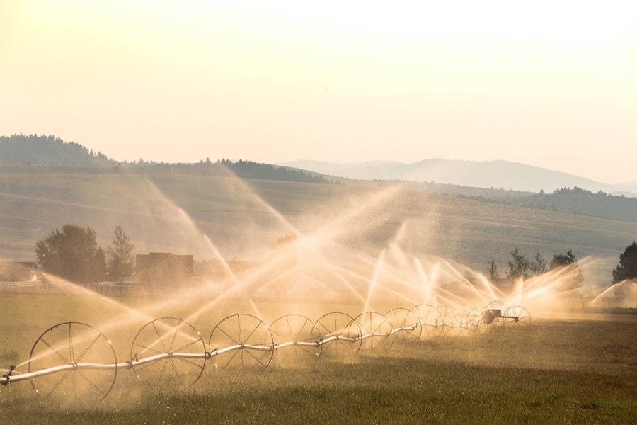 irrigation circles