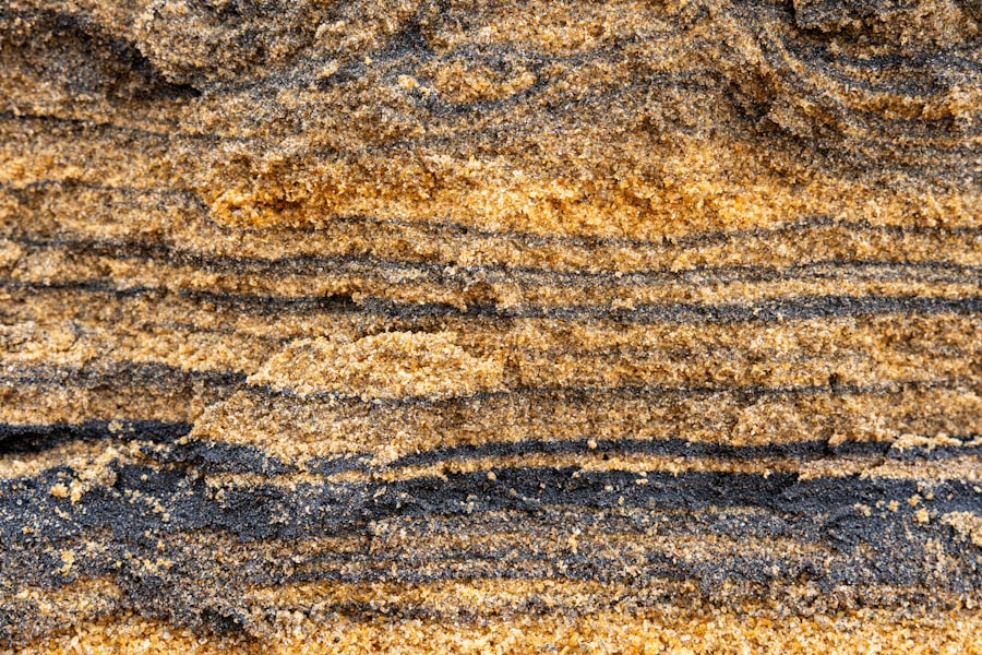 sediments