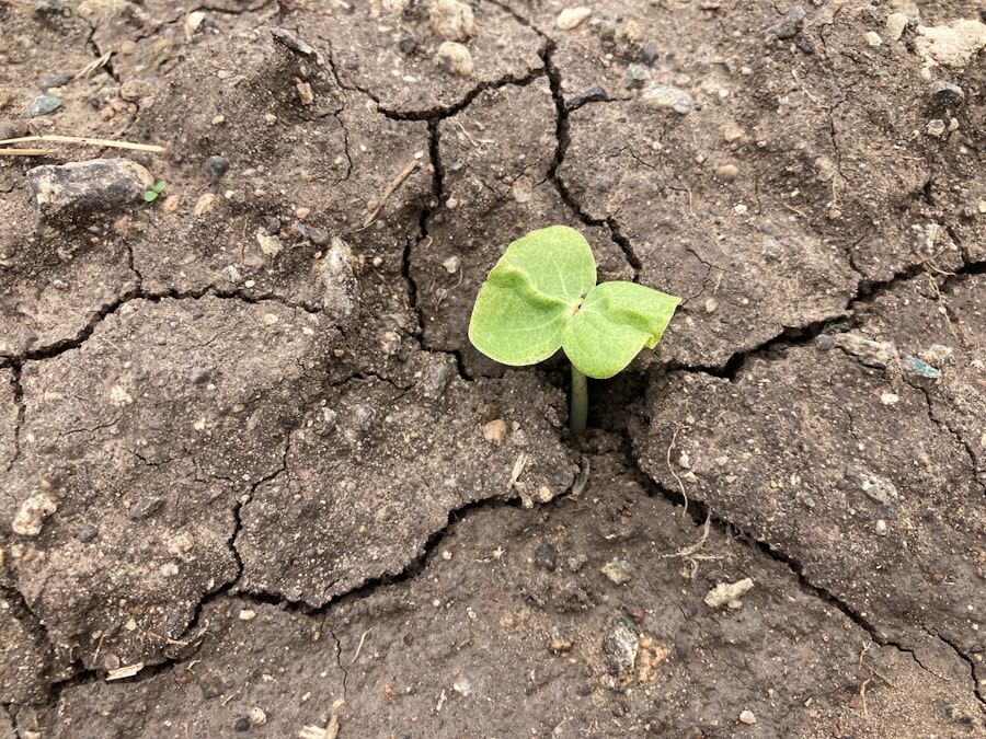 Photo resilience