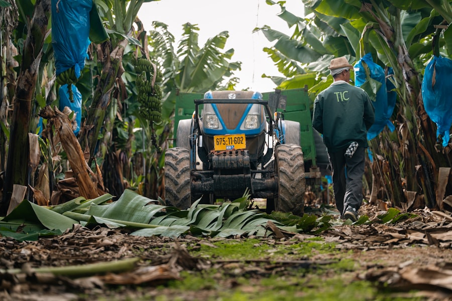 Photo food security documentary