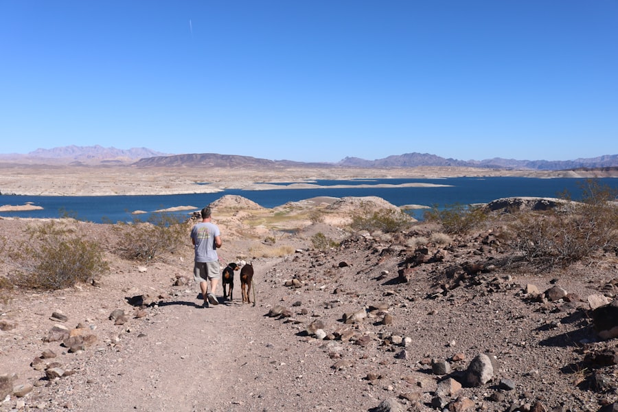 Photo lake mead drought